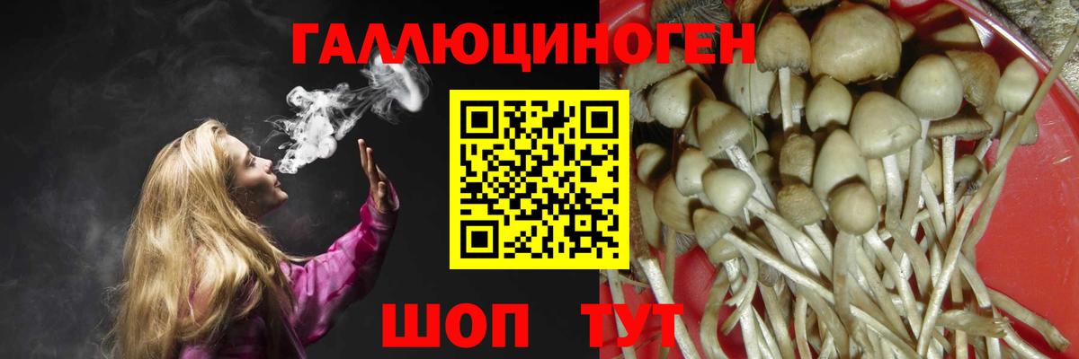 Псилоцибиновые грибы мухоморы  купить закладку  Жигулёвск  Галлюциногенные грибы Psilocybine cubensis  Вход с VPN 